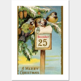 Vintage Christmas Birds Posters and Art